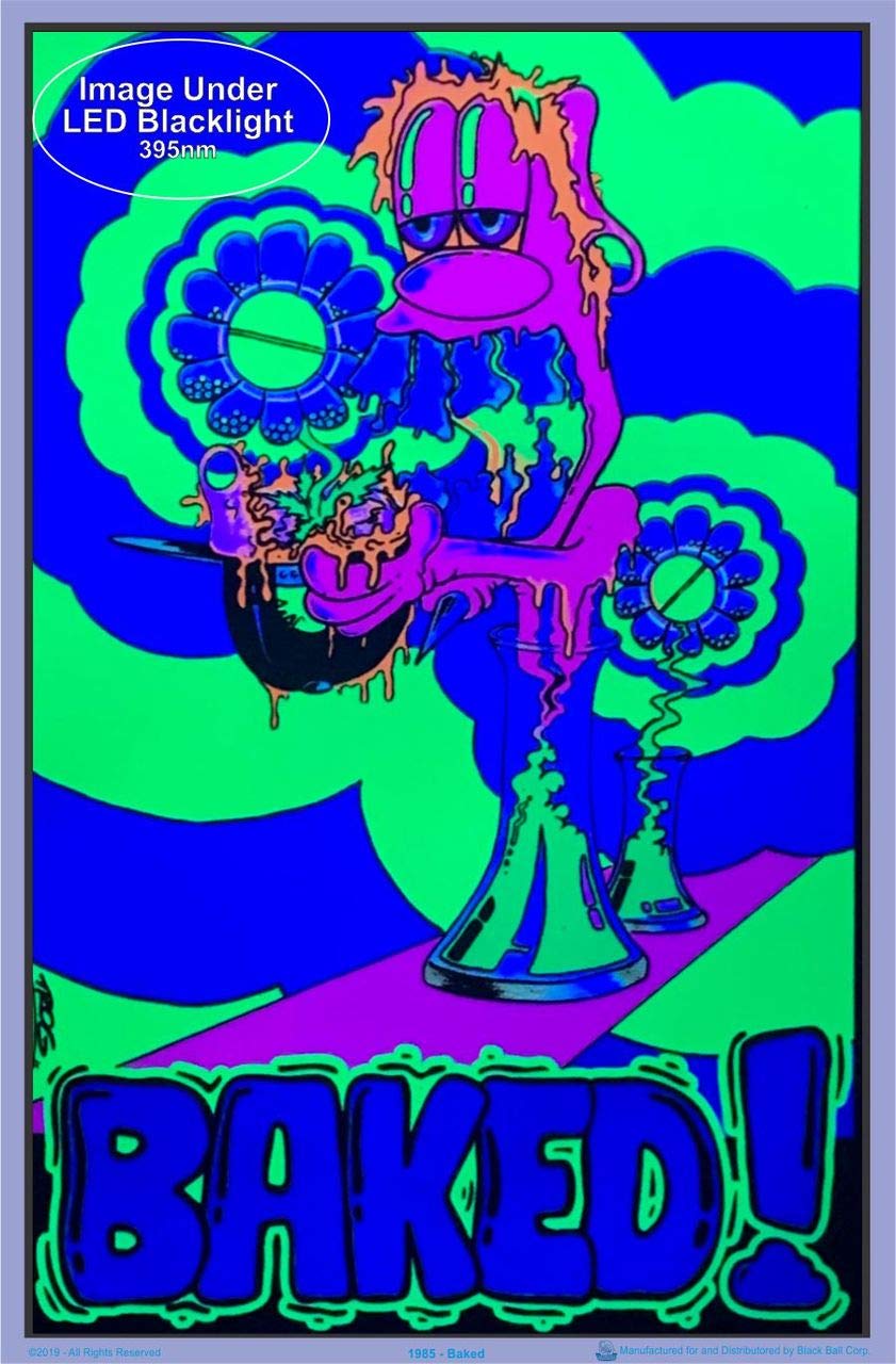 Dijkoo Baked! by Trog Blacklight Poster - Flocked - 23" x 35"