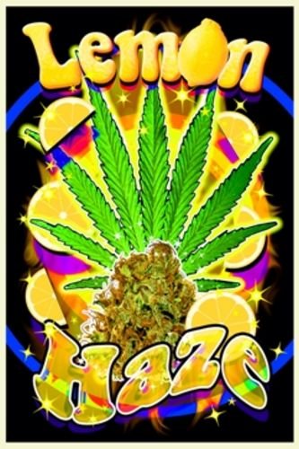 Lemon Haze Blacklight Poster 24"x36" Art Print Poster