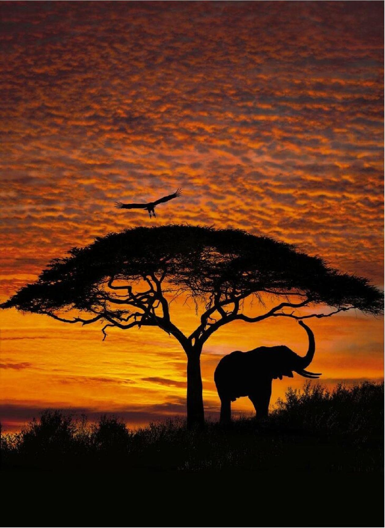 ELEPHANT SUNSET - 24X36 WALL ART POSTER PRINT PAPER 0279
