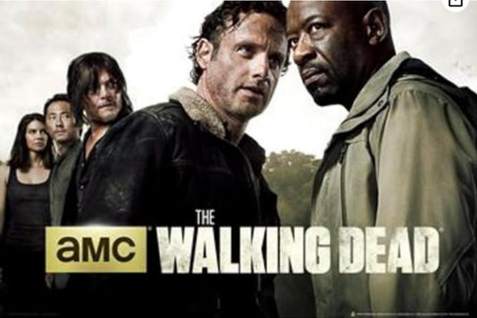 Generic The Walking Dead Season 6 Poster, 24x36 Inches, Unframed