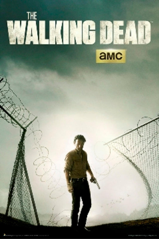Generic Walking Dead Season 4 Poster, 24x36 Inches, 16x20 Inch Promotional Print, Graphic Art Display, Unframed
