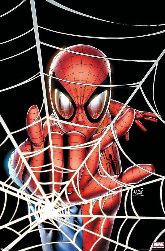 Trends International Marvel Comics - Spider-Man - Web Wall Poster, 22.375" x 34", Premium Unframed Version